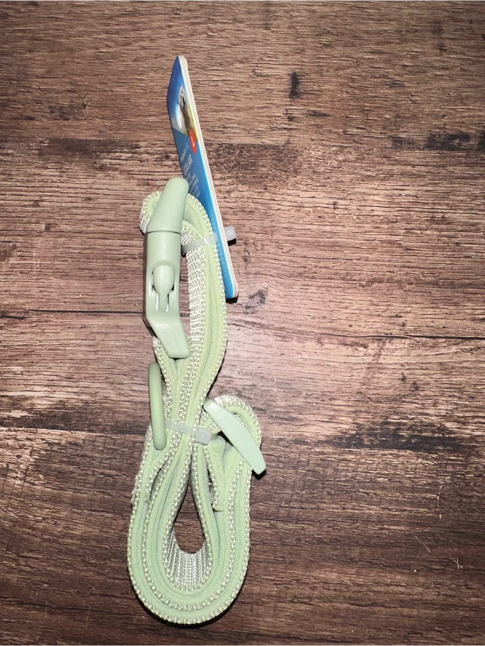 Vibrant Pale Green Dog Collar with Easy-Release Buckle